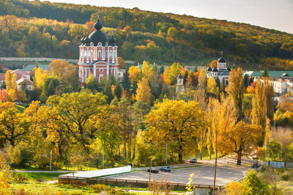 Contact Company excursii ;oldova Mănăstirea Curchi